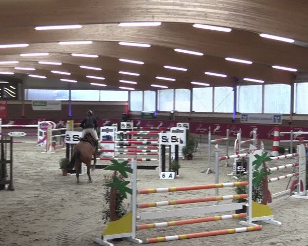 Reitturnier Kaldenkirchen - Gestüt Seehof 2024