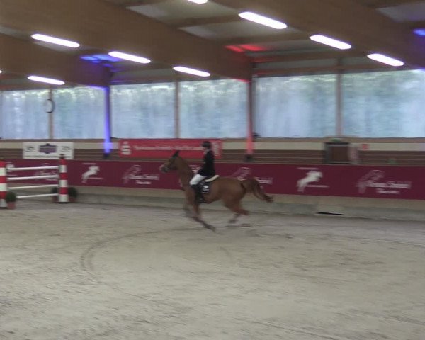 Reitturnier Kaldenkirchen - Gestüt Seehof 2024