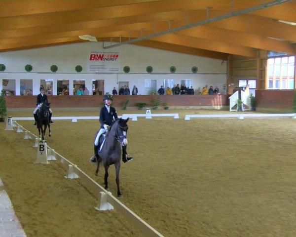 Reitturnier Coesfeld-Lette 2024