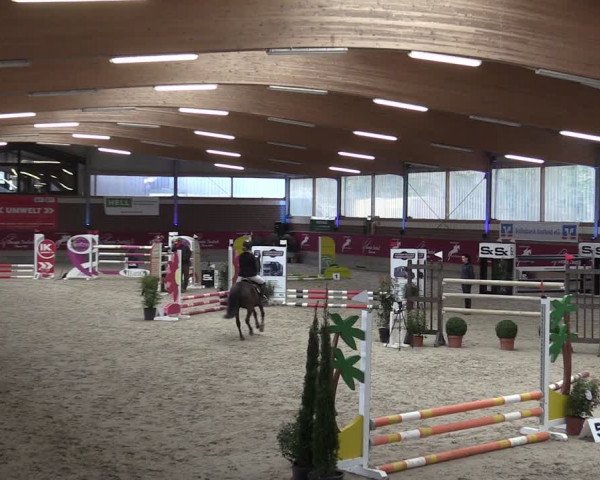 Reitturnier Kaldenkirchen - Gestüt Seehof 2024