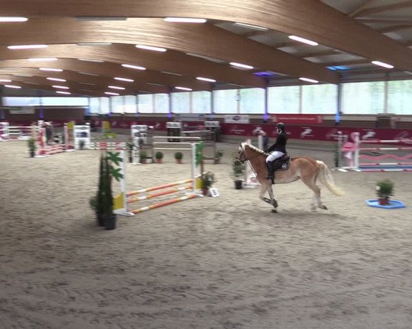 Reitturnier Kaldenkirchen - Gestüt Seehof 2024