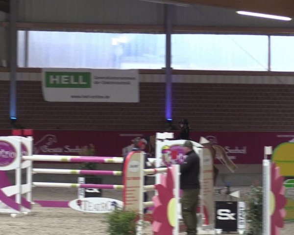 Reitturnier Kaldenkirchen - Gestüt Seehof 2024