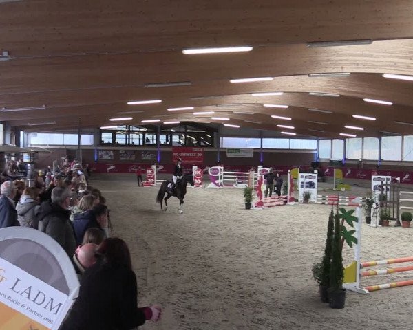 Reitturnier Kaldenkirchen - Gestüt Seehof 2024