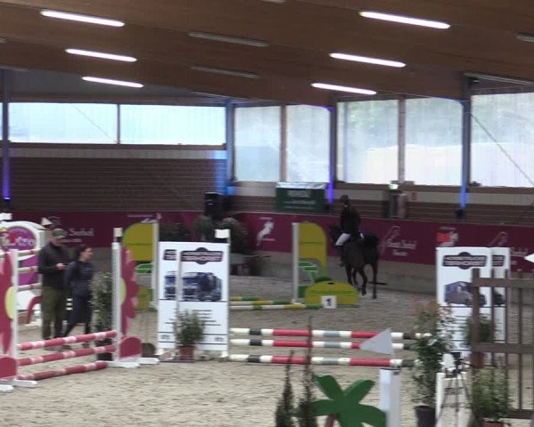 Reitturnier Kaldenkirchen - Gestüt Seehof 2024