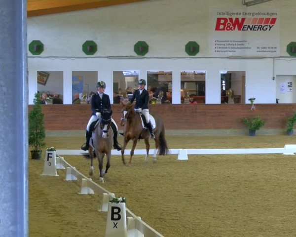 Reitturnier Coesfeld-Lette 2024