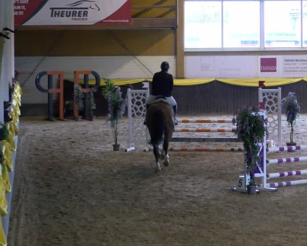 Reitturnier Sauldorf-Boll 2024