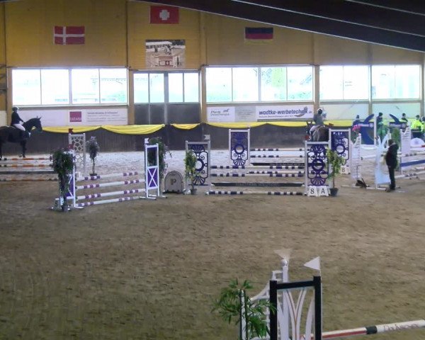Reitturnier Sauldorf-Boll 2024