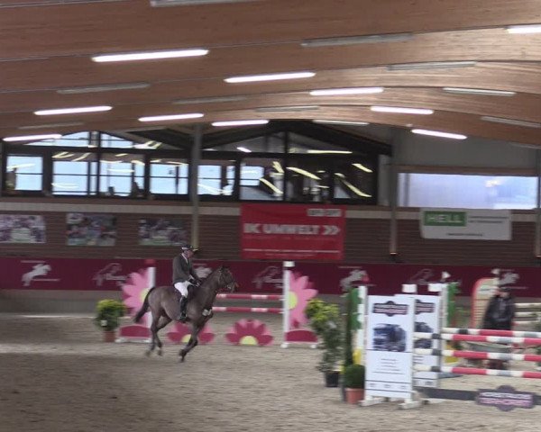 Reitturnier Kaldenkirchen - Gestüt Seehof 2024