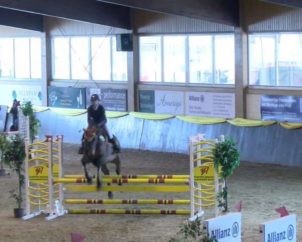 Reitturnier Sauldorf-Boll 2024