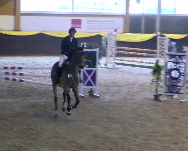 Reitturnier Sauldorf-Boll 2024