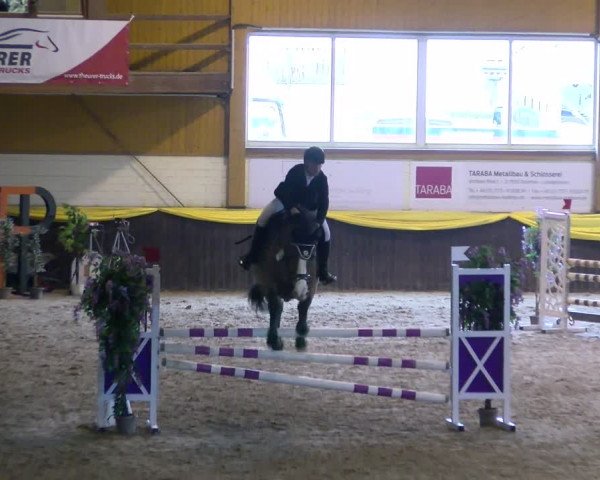 Reitturnier Sauldorf-Boll 2024