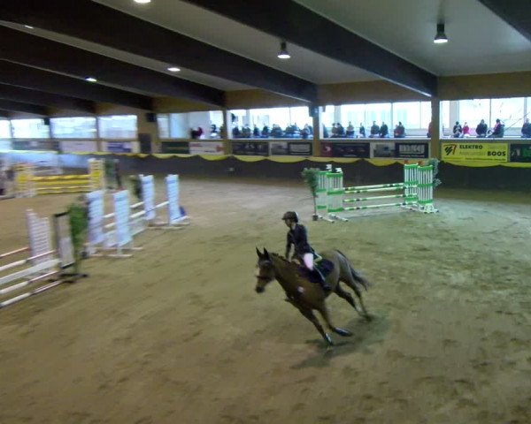 Reitturnier Sauldorf-Boll 2024