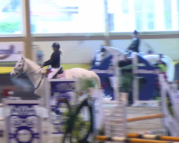 Reitturnier Sauldorf-Boll 2024