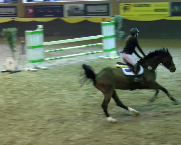 Reitturnier Sauldorf-Boll 2024