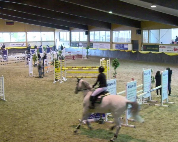 Reitturnier Sauldorf-Boll 2024