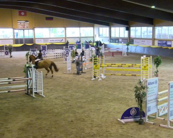 Reitturnier Sauldorf-Boll 2024