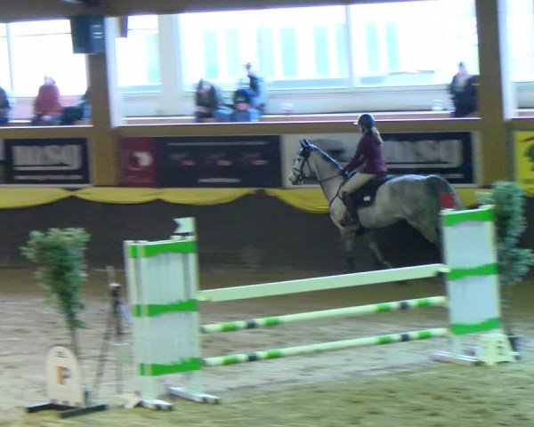 Reitturnier Sauldorf-Boll 2024
