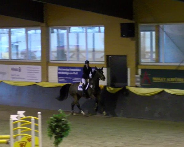 Reitturnier Sauldorf-Boll 2024