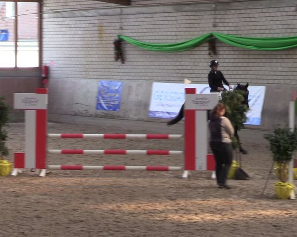 Reitturnier Leverkusen-Rheindorf 2024