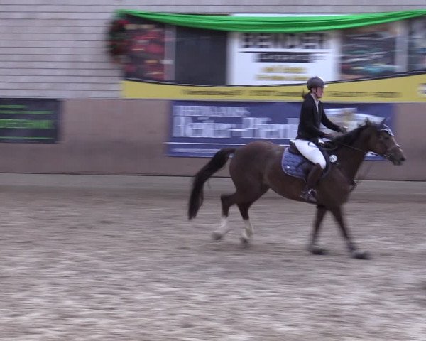 Reitturnier Leverkusen-Rheindorf 2024