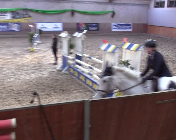 Reitturnier Leverkusen-Rheindorf 2024