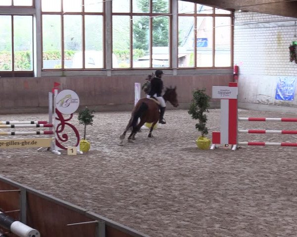 Reitturnier Leverkusen-Rheindorf 2024