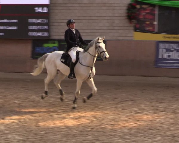 Reitturnier Leverkusen-Rheindorf 2024
