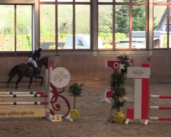 Reitturnier Leverkusen-Rheindorf 2024
