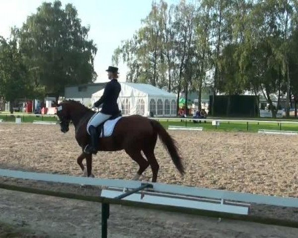 Sommerturnier Recklinghausen 2011