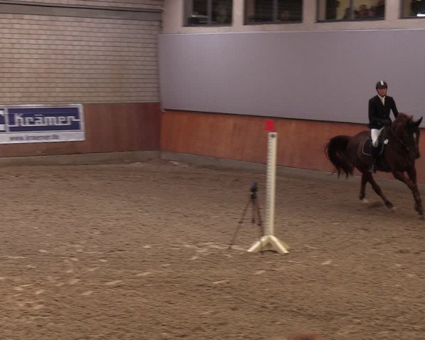 Reitturnier Leverkusen-Rheindorf 2024