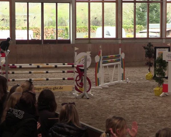 Reitturnier Leverkusen-Rheindorf 2024