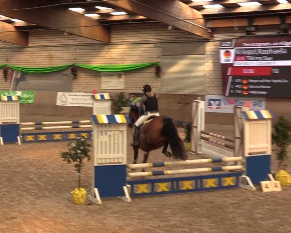 Reitturnier Leverkusen-Rheindorf 2024