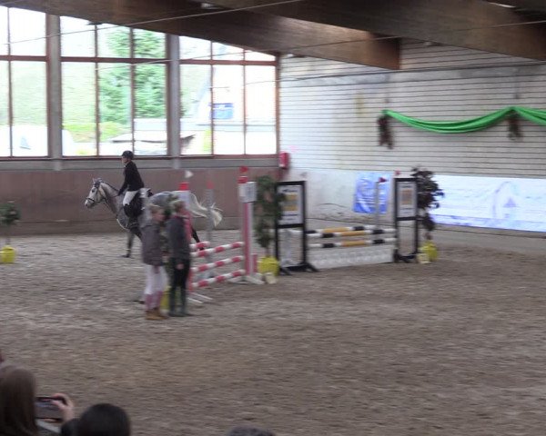 Reitturnier Leverkusen-Rheindorf 2024