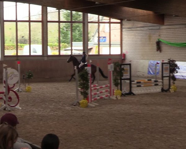 Reitturnier Leverkusen-Rheindorf 2024