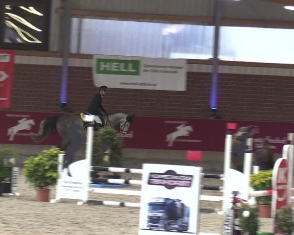 Reitturnier Kaldenkirchen - Gestüt Seehof 2024