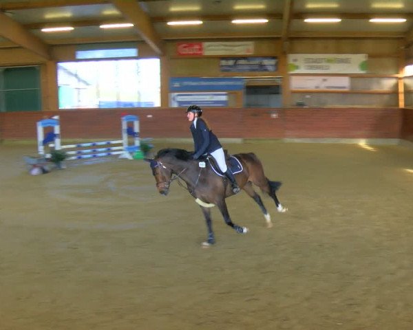 Reitturnier Coesfeld-Lette 2024