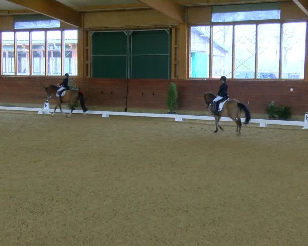 Reitturnier Coesfeld-Lette 2024