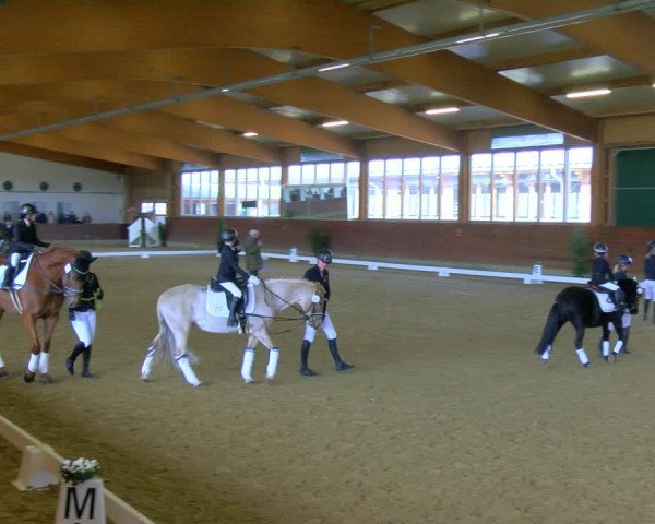Reitturnier Coesfeld-Lette 2024