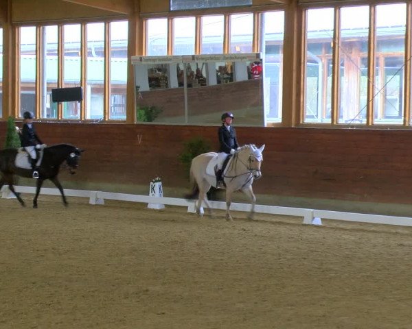Reitturnier Coesfeld-Lette 2024