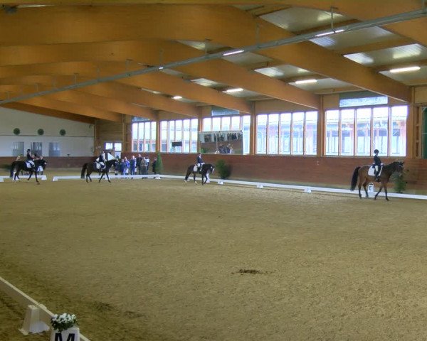 Reitturnier Coesfeld-Lette 2024