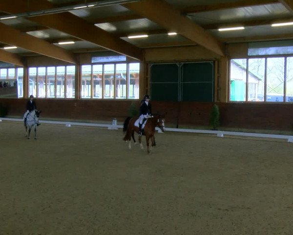 Reitturnier Coesfeld-Lette 2024