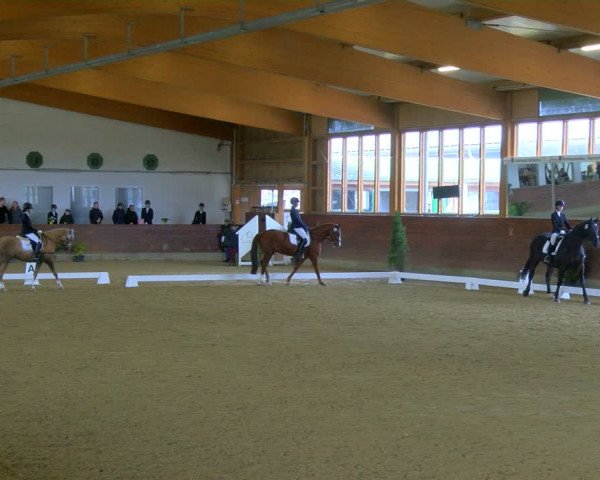 Reitturnier Coesfeld-Lette 2024