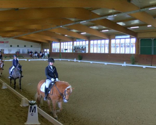 Reitturnier Coesfeld-Lette 2024