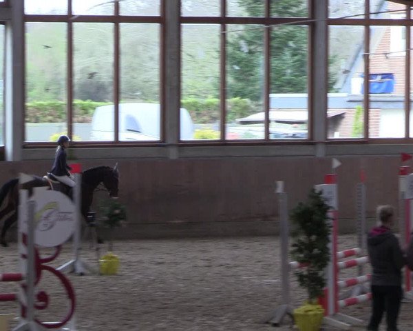 Reitturnier Leverkusen-Rheindorf 2024