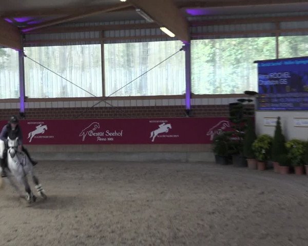 Reitturnier Kaldenkirchen - Gestüt Seehof 2024