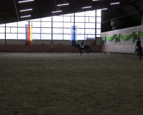Reitturnier Hellefeld 2024