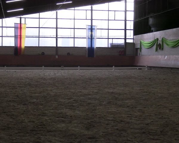 Reitturnier Hellefeld 2024