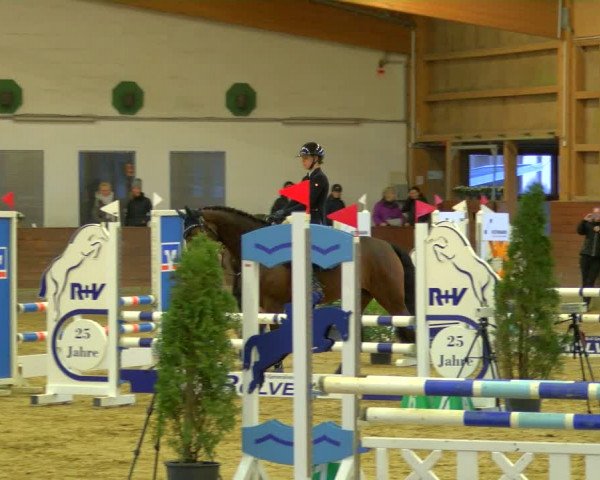Reitturnier Coesfeld-Lette 2024