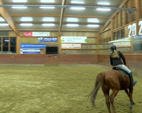 Reitturnier Coesfeld-Lette 2024