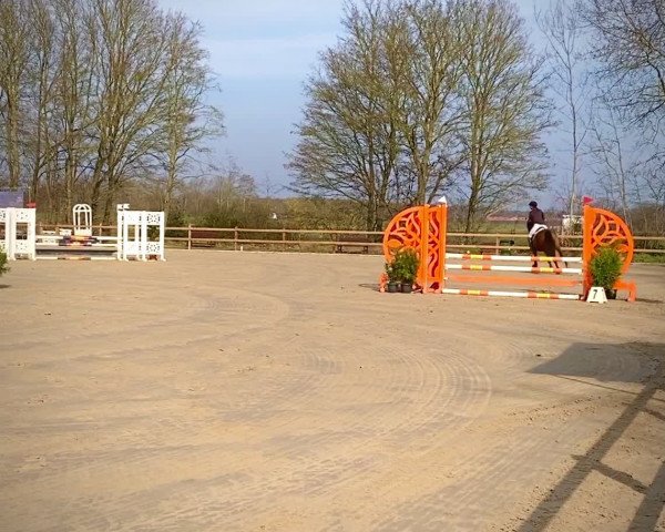 Video von Dandino 3